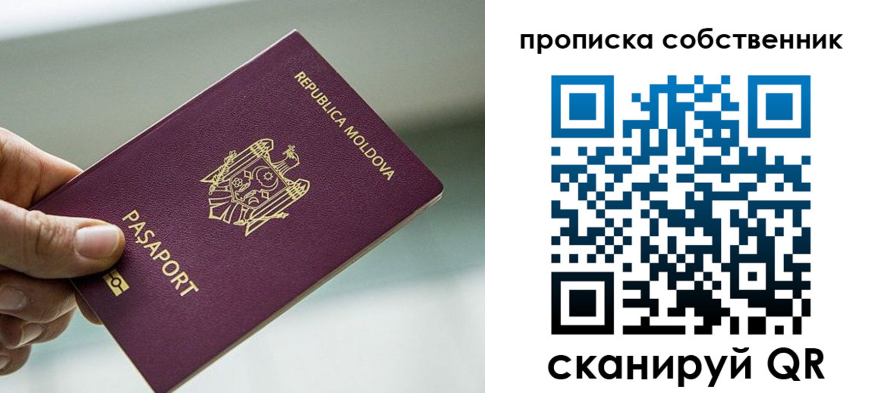 прописка паспорт в Кашине